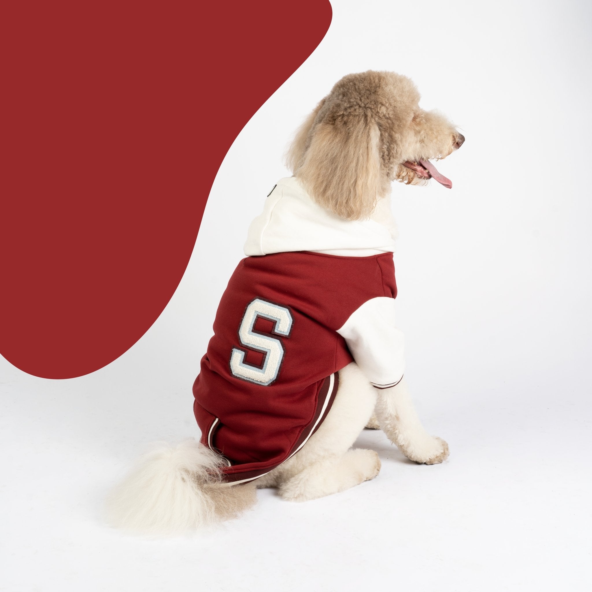 Otis Dog Letterman Jacket  Varsity-Inspired Bomber with Hood & Leash Access