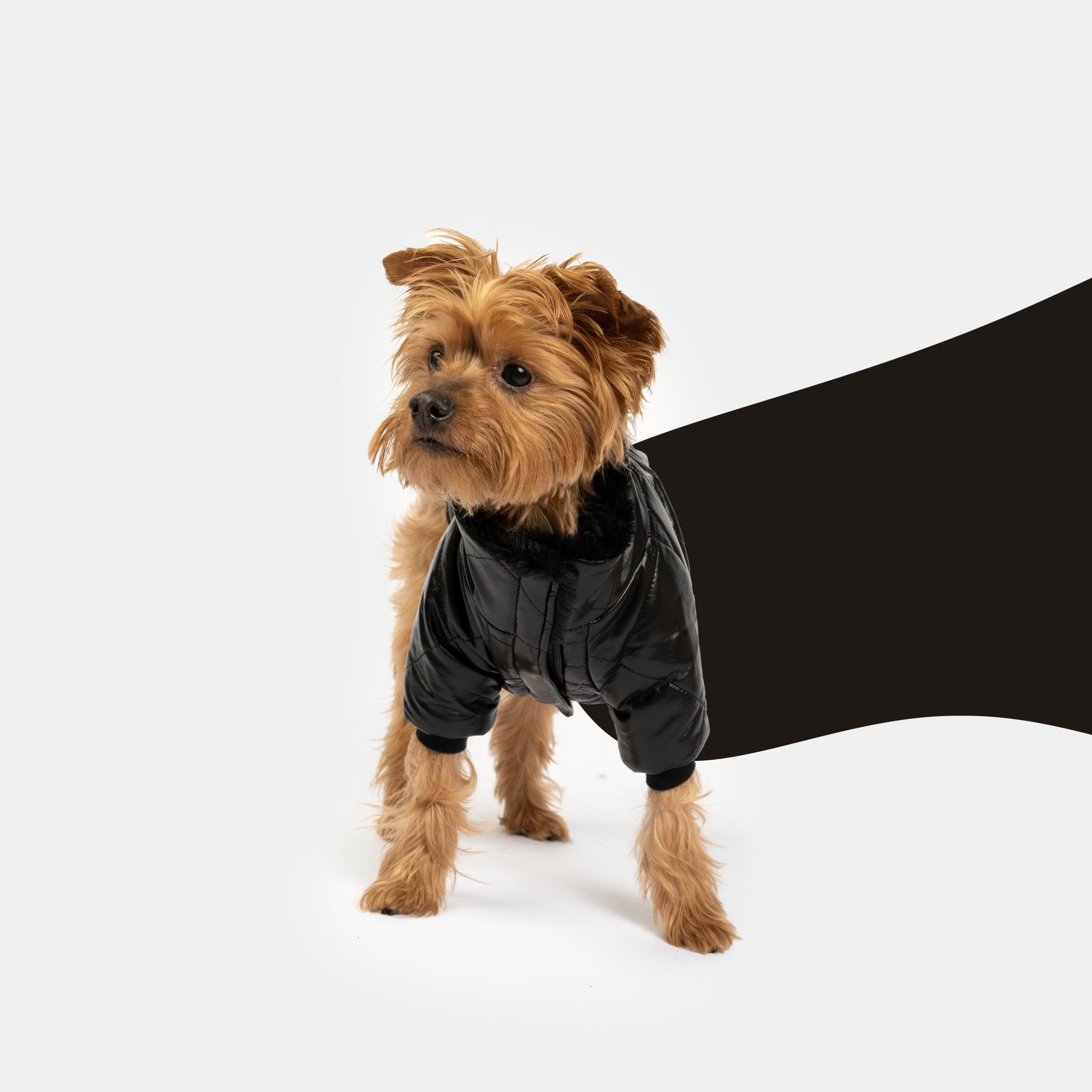 Phoenix Dog Jacket - Black | Quilted Vegan Leather Coat with Faux Fur Lining