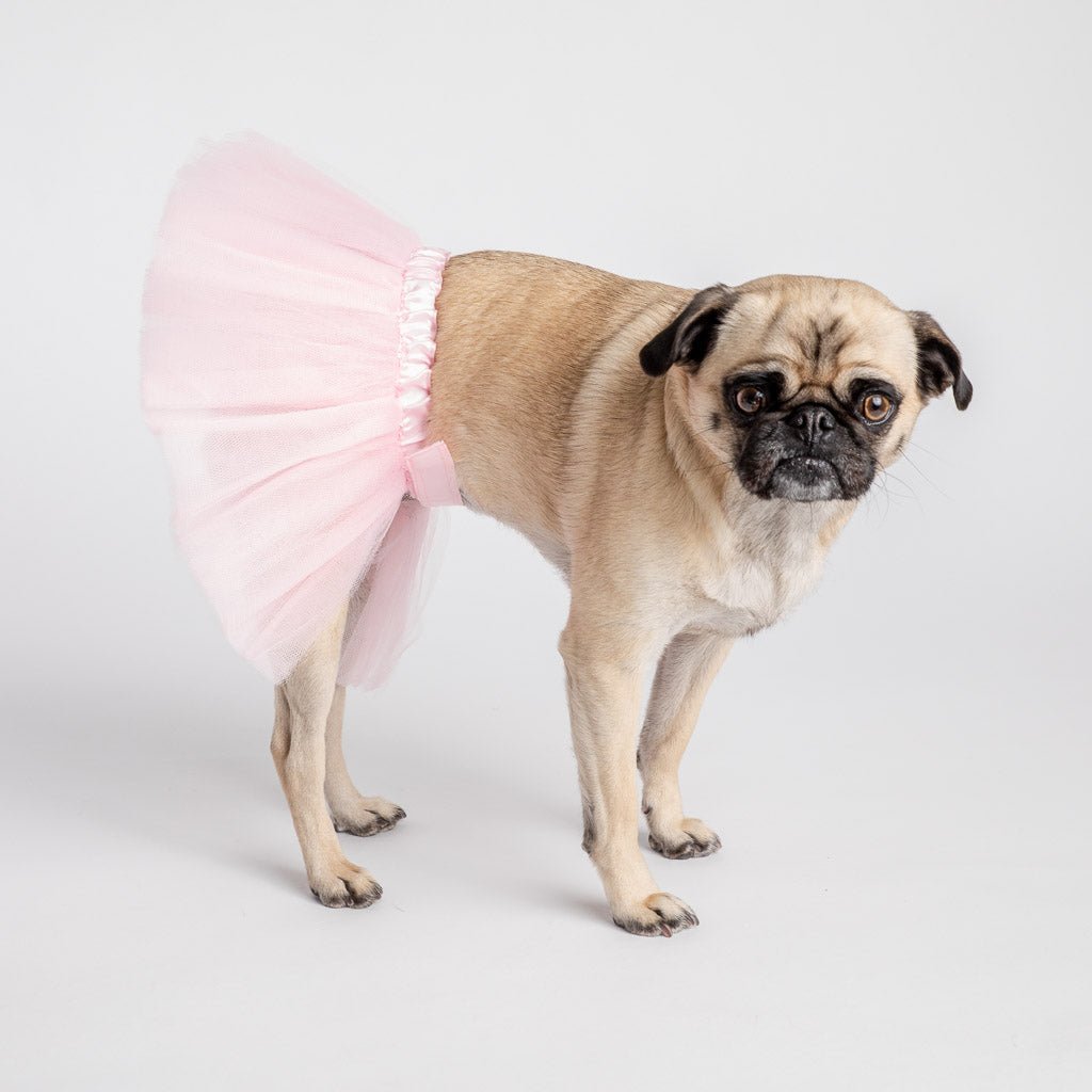 Pink Tutu Dog Costume  Adorable Princess Skirt for Special Occasions