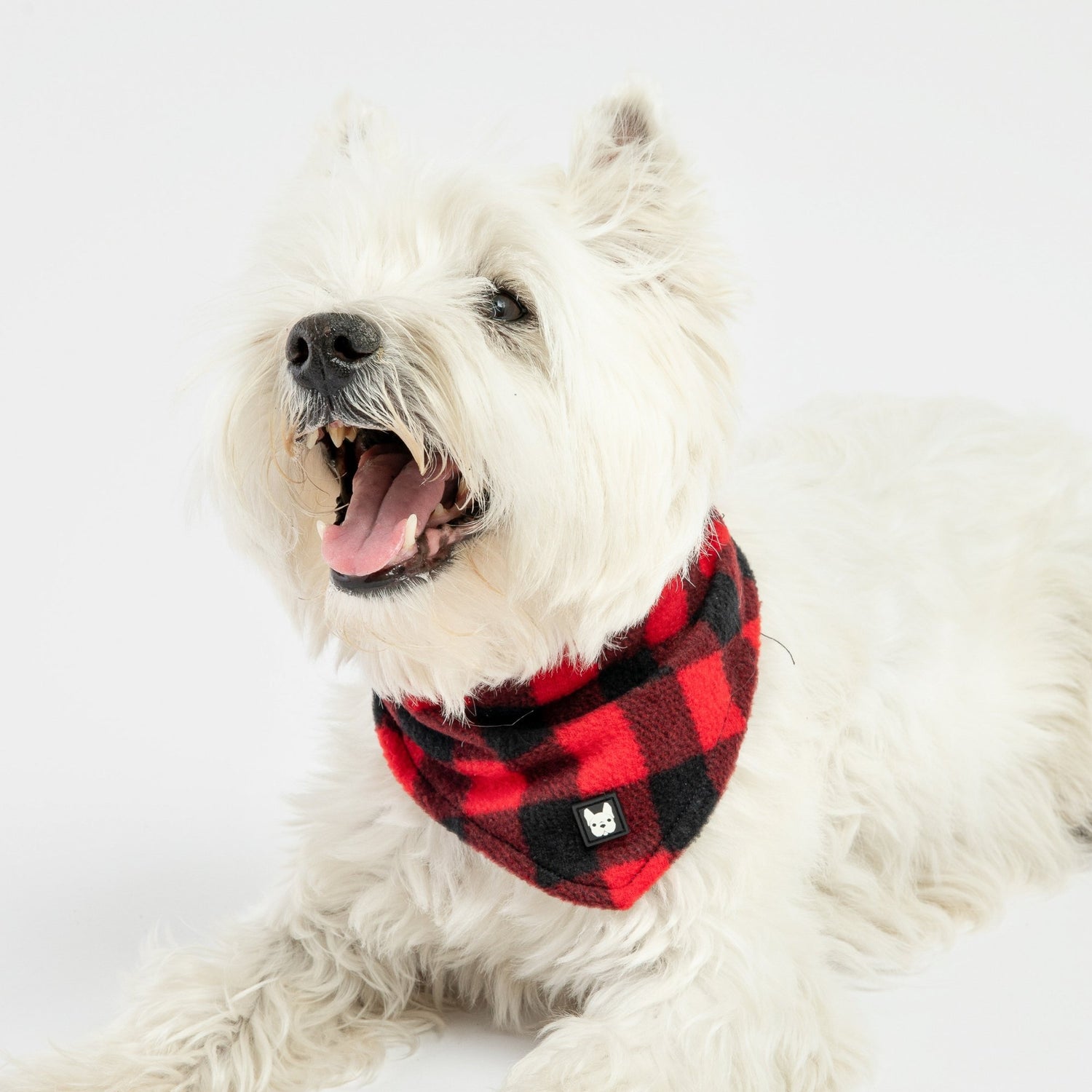 ❤️ Plaid Dog Bandana – Classic Red Checkered Scarf for Stylish