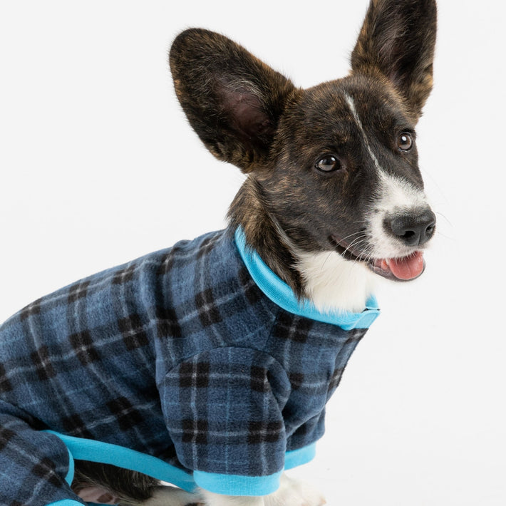 Pyjama pour chien à carreaux - Bleu