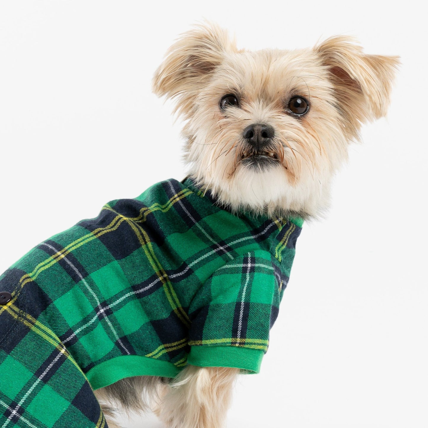 Fab Dog Flannel Dog Pajamas, Green Plaid, 18-Inch Length