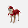 Playful Lobster Costume