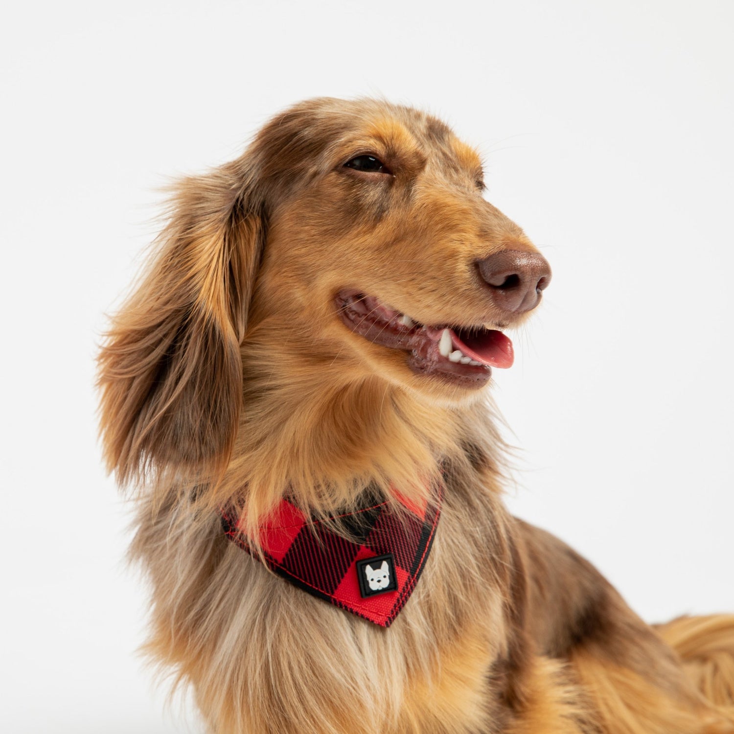 🐾 Poplin Bandana Dog Collar – Red Plaid Adjustable with Metal Buckle