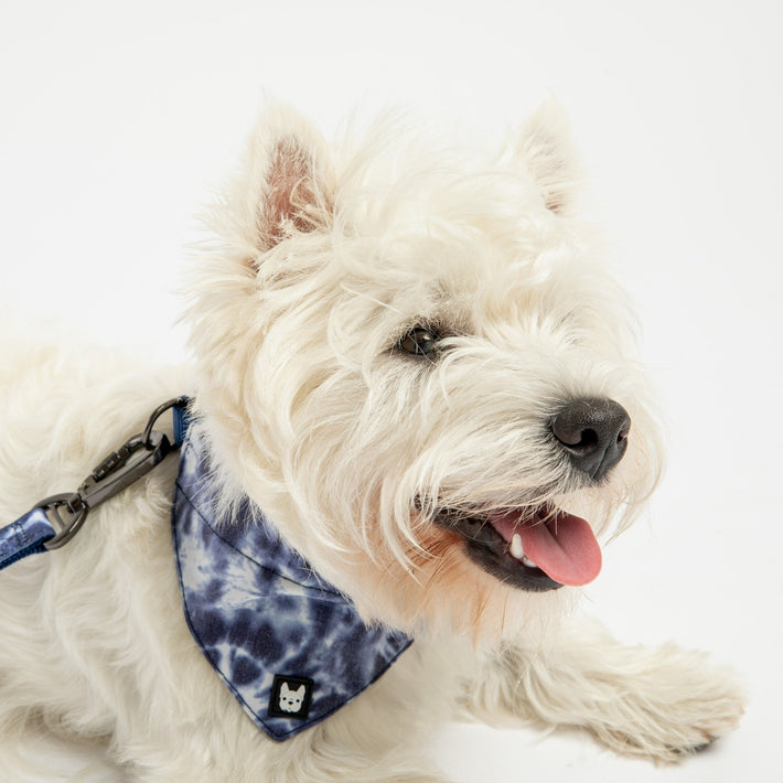 Collier bandana pour chien en popeline - Tie Dye bleu