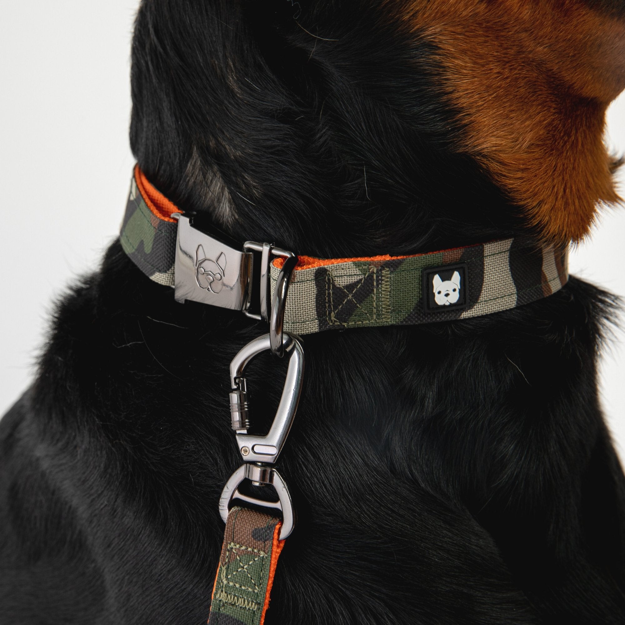 Camo Dog Collar  Durable Adjustable Collar with Patented Metal Buckle