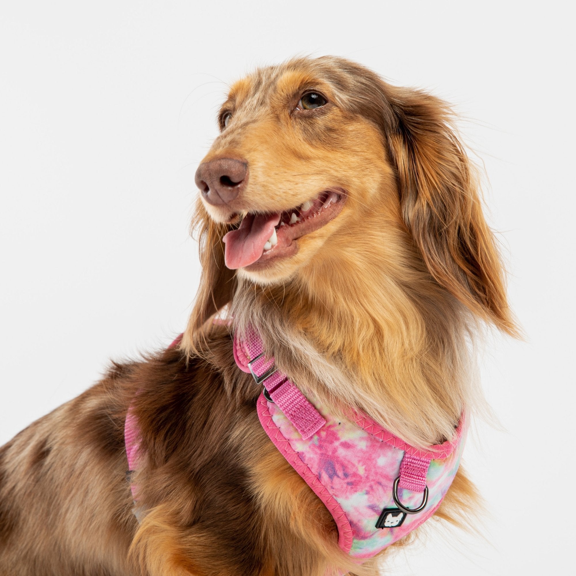 Pink Tie Dye Poplin Dog Harness  Adjustable, Secure & Stylish
