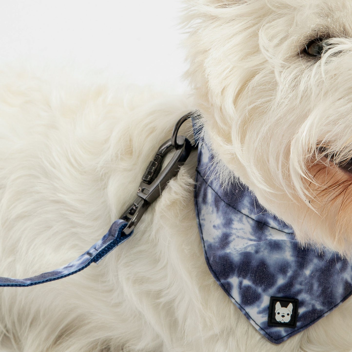 Laisse pour chien en popeline - Tie Dye Bleu