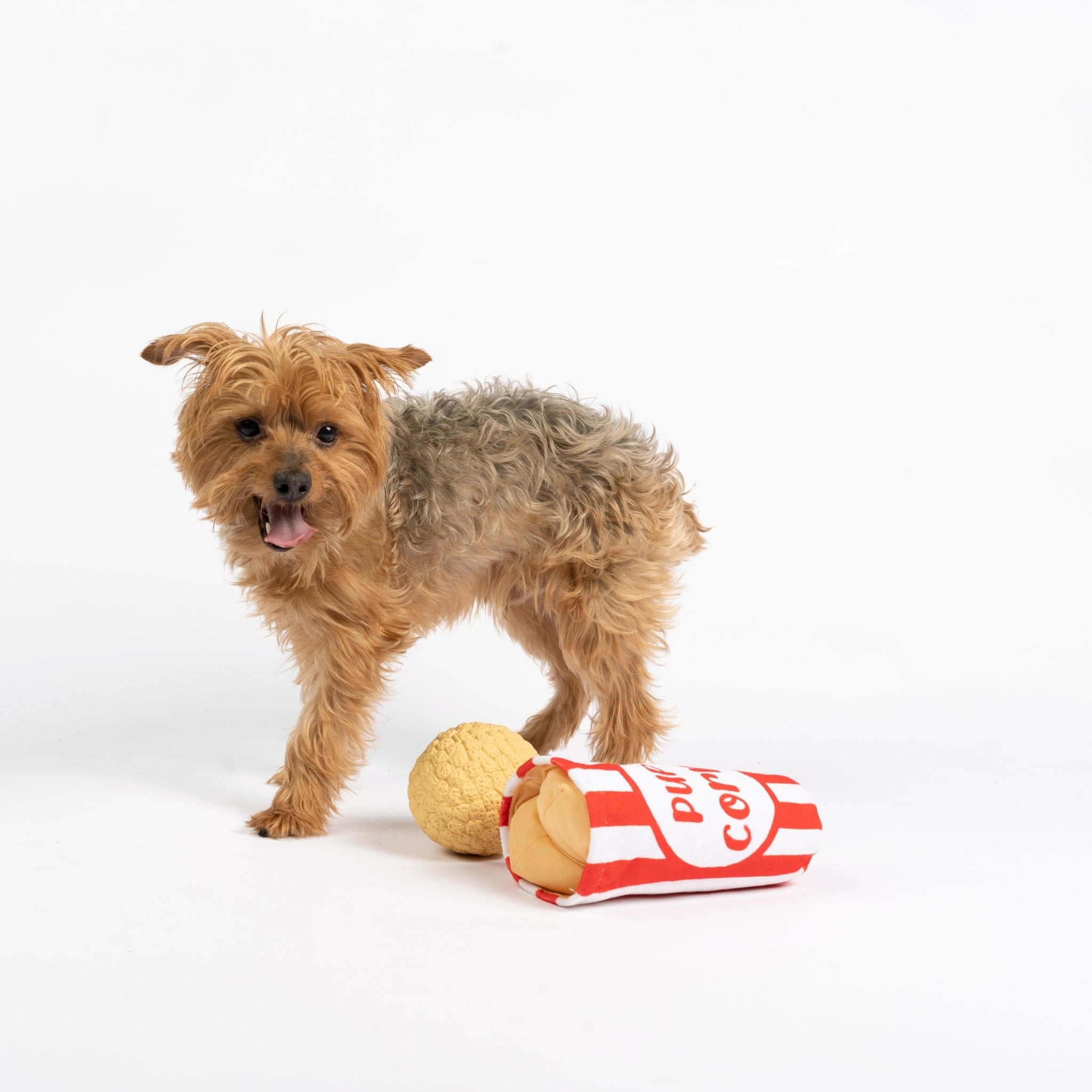 Pupcorn Dog Toy  2-in-1 Plush Squeaky & Crinkle Toy for Movie Nights