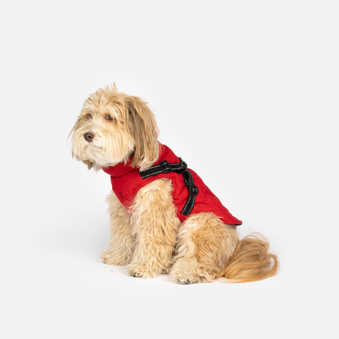 Quilted Dog Jacket With BuiltIn Harness Red Silver Paw
