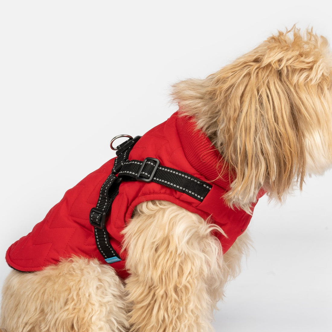 Quilted Dog Jacket With BuiltIn Harness Red Silver Paw