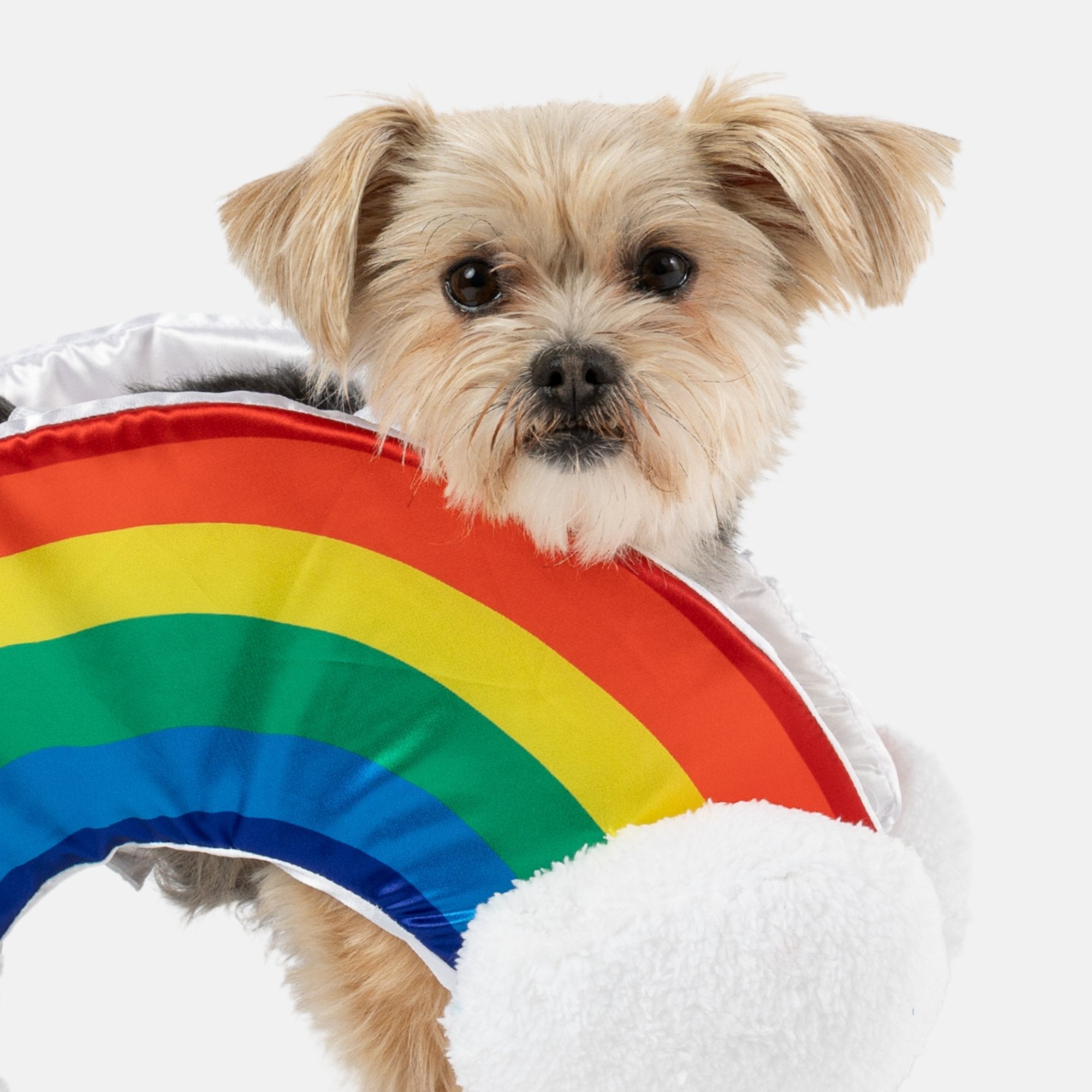 Rainbow Dog Costume  Colorful & Fun Matching Pet Outfit