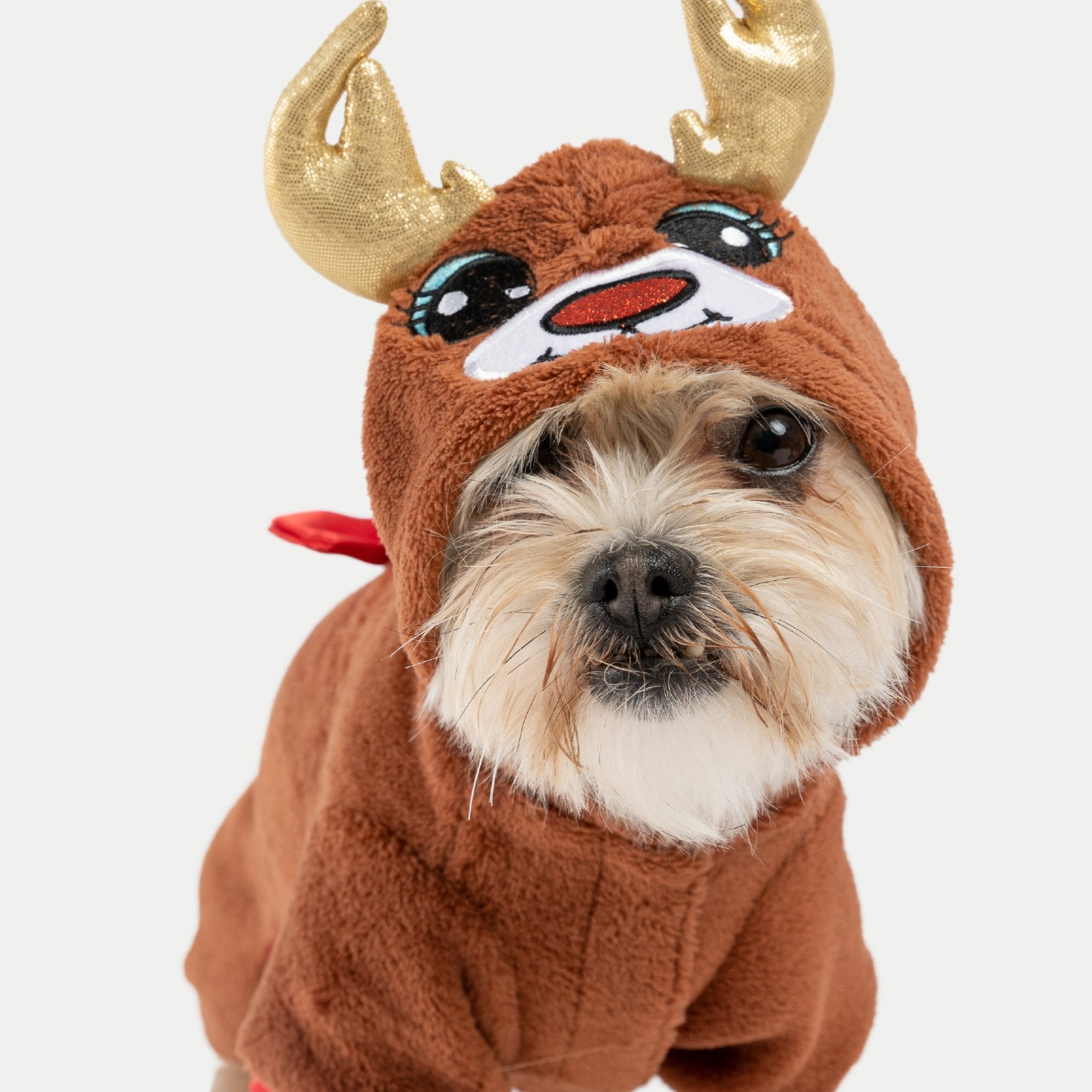 Reindeer outfit sale dog