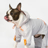 Sammy Splash Suit | Water-Resistant One-Piece Dog Raincoat