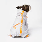 Sammy - Splash Suit - Silver Paw