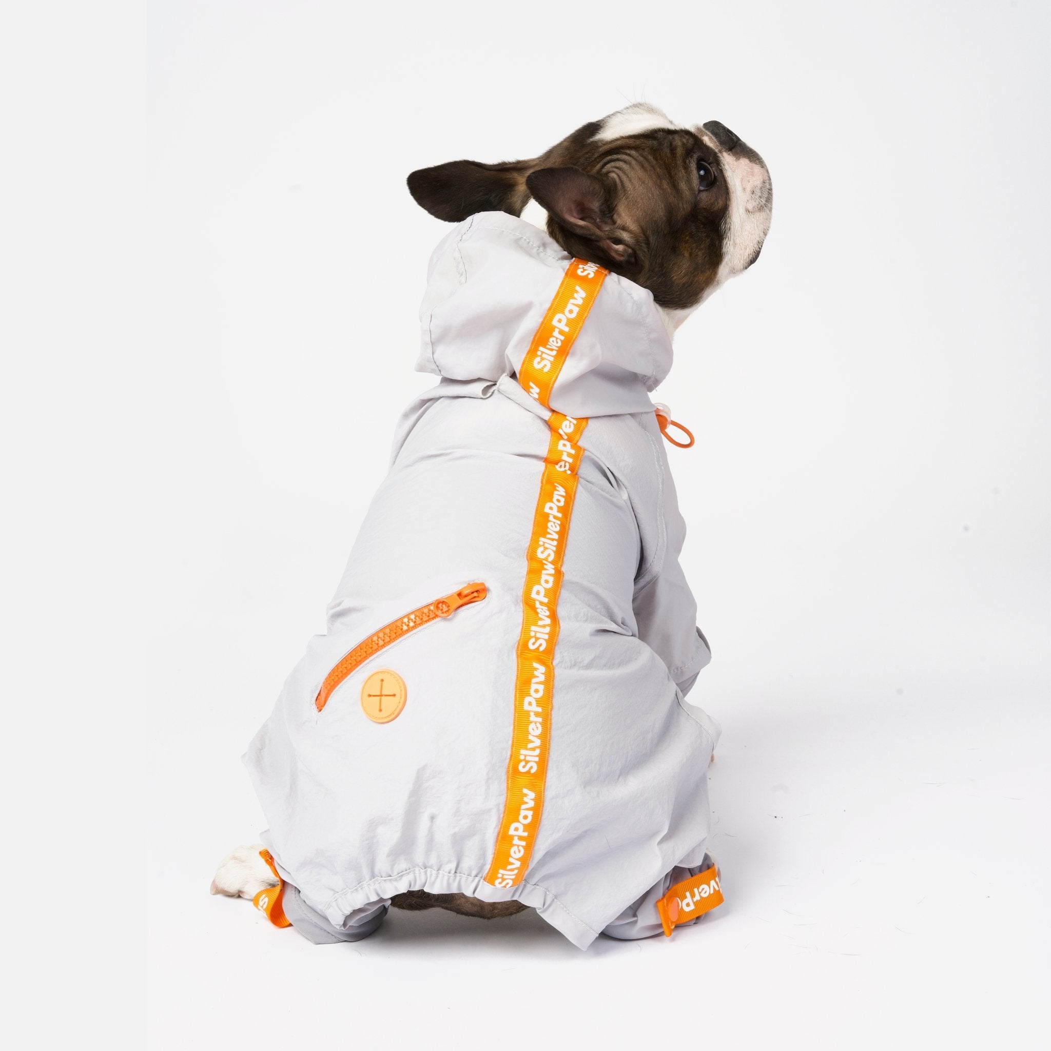 Sammy - Splash Suit - Silver Paw