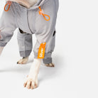 Sammy - Splash Suit - Silver Paw