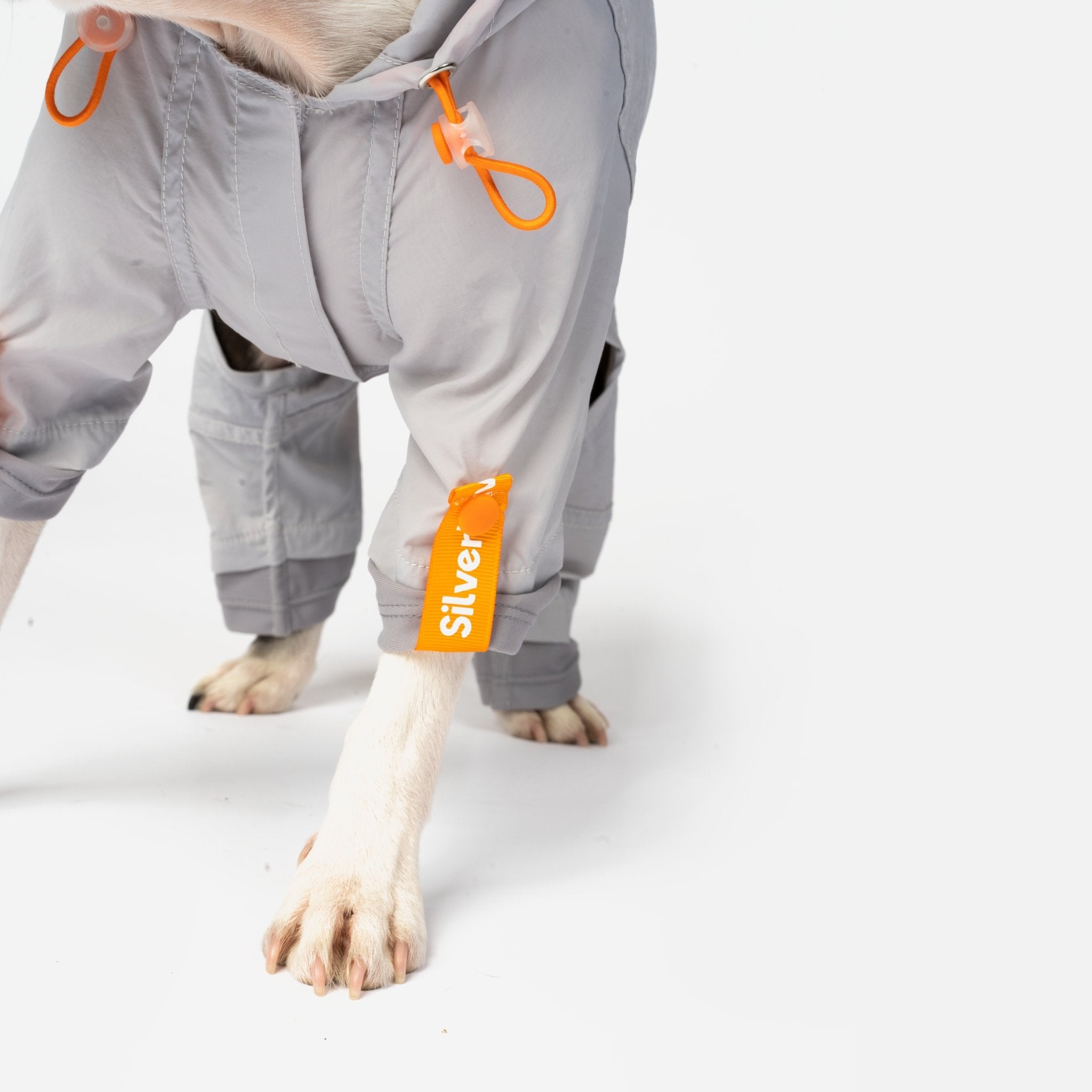 Sammy - Splash Suit - Silver Paw