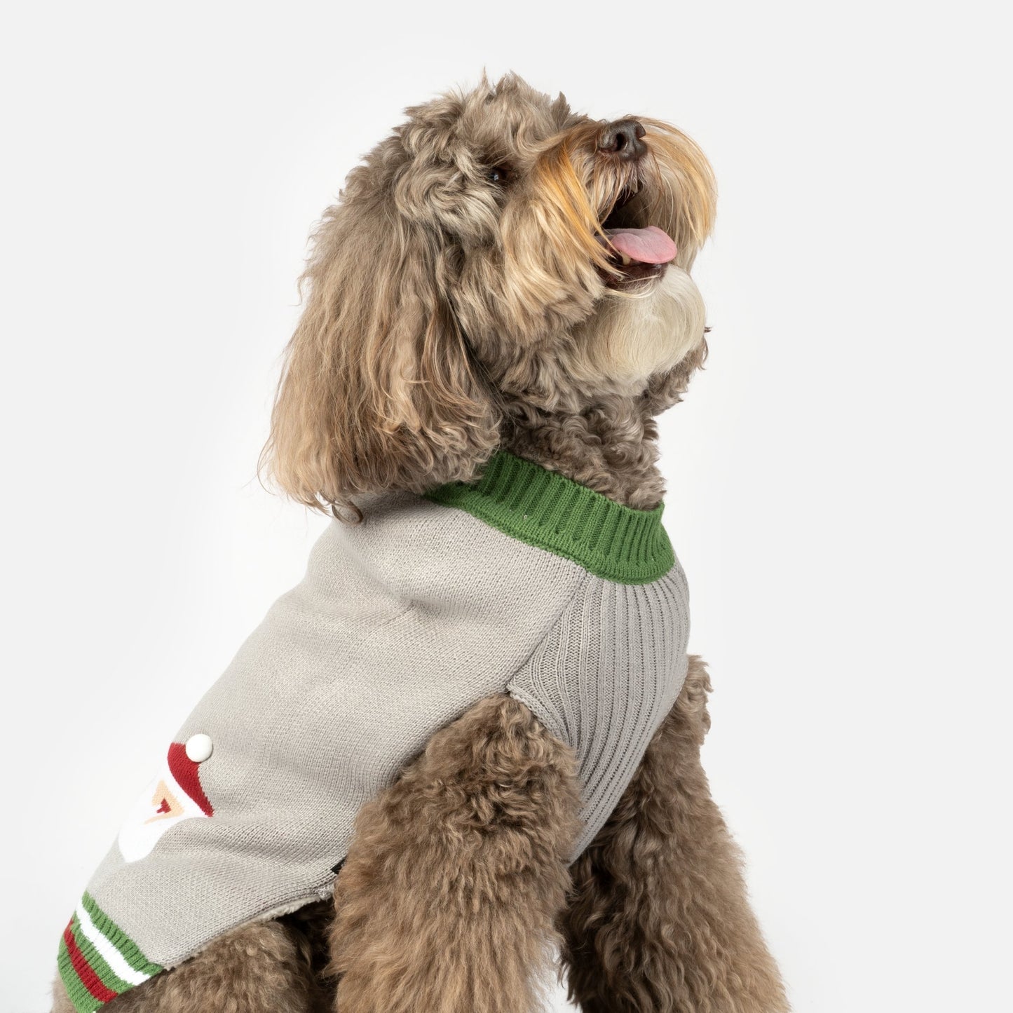 Santa Dog Sweater