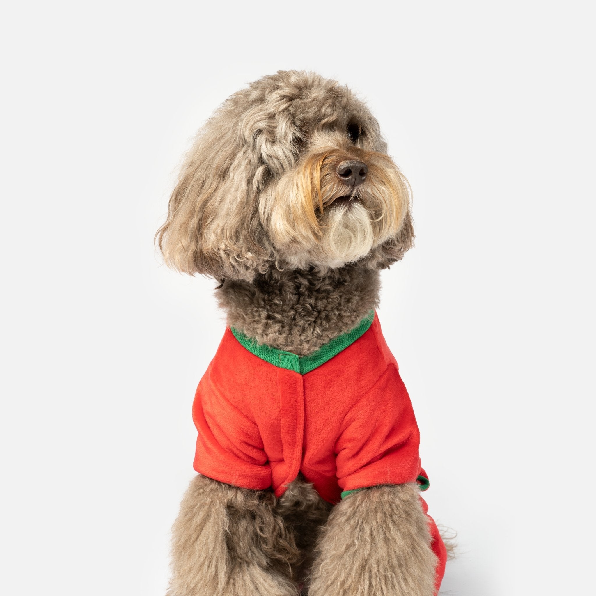 Sleepy Dog Pajamas  Soft & Cozy Holiday Onesie | Festive Christmas PJs