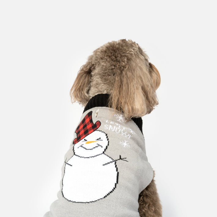 Pull chien bonhomme de neige
