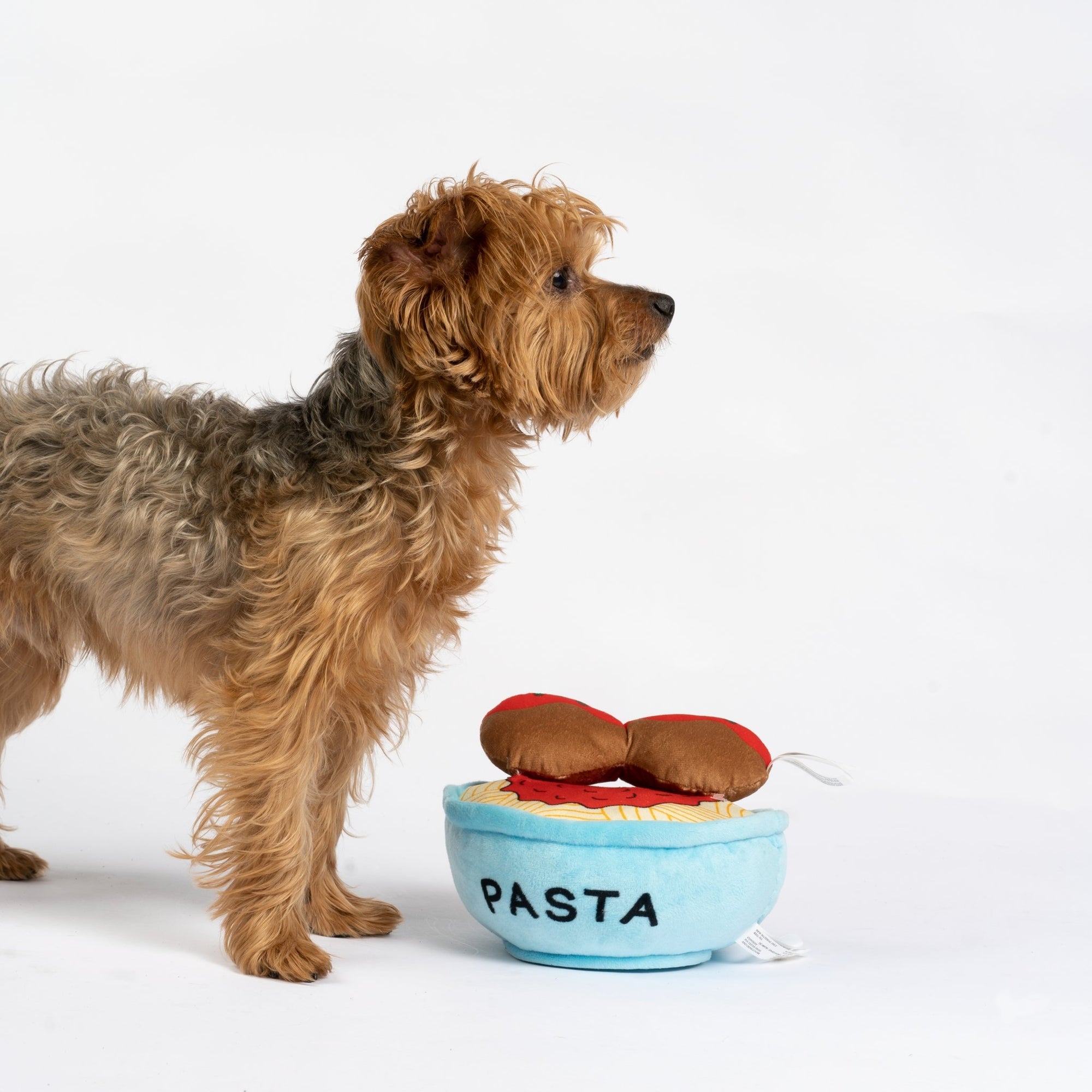 Spawghetti & Meatballs Dog Toy  2-in-1 Plush Squeaky Toy for Interactive Play