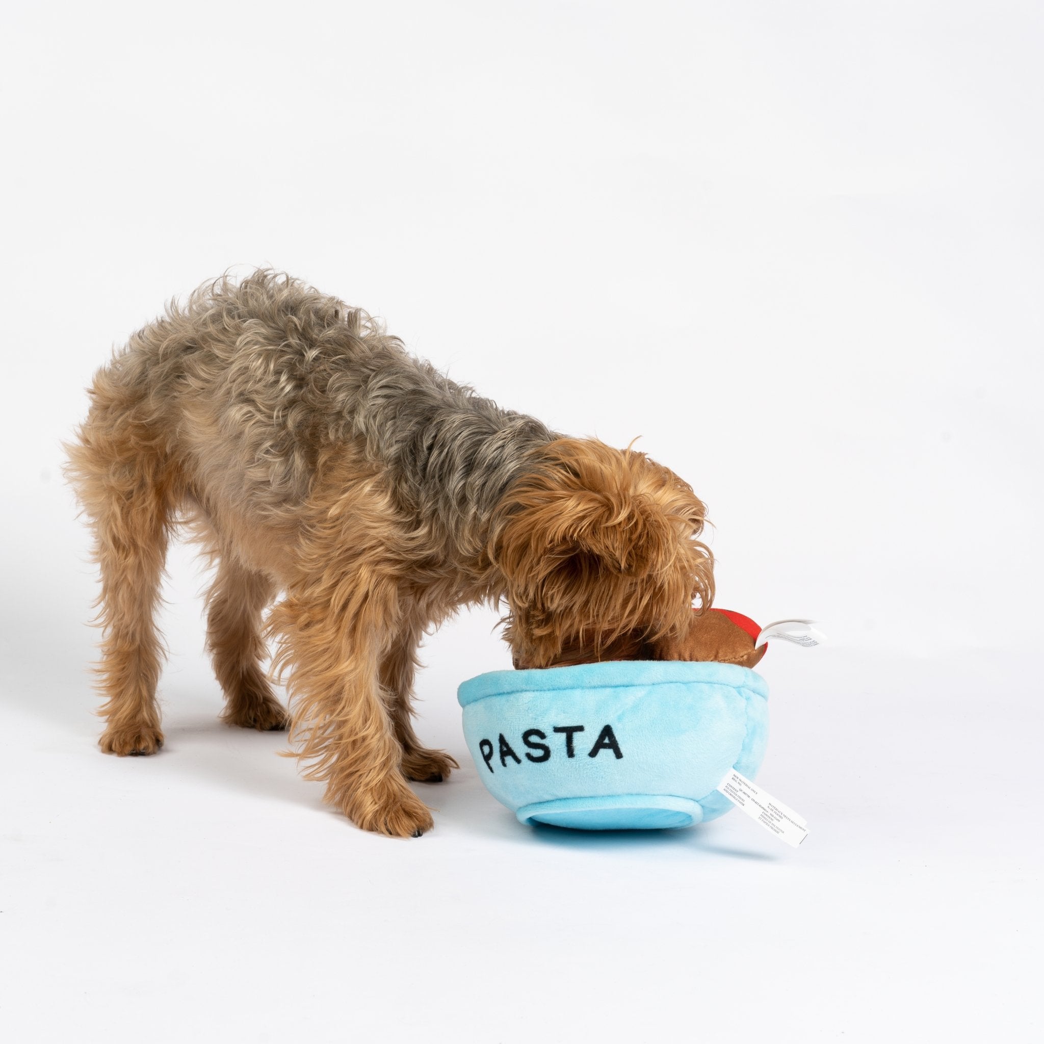 Spawghetti & Meatballs Dog Toy  2-in-1 Plush Squeaky Toy for Interactive Play