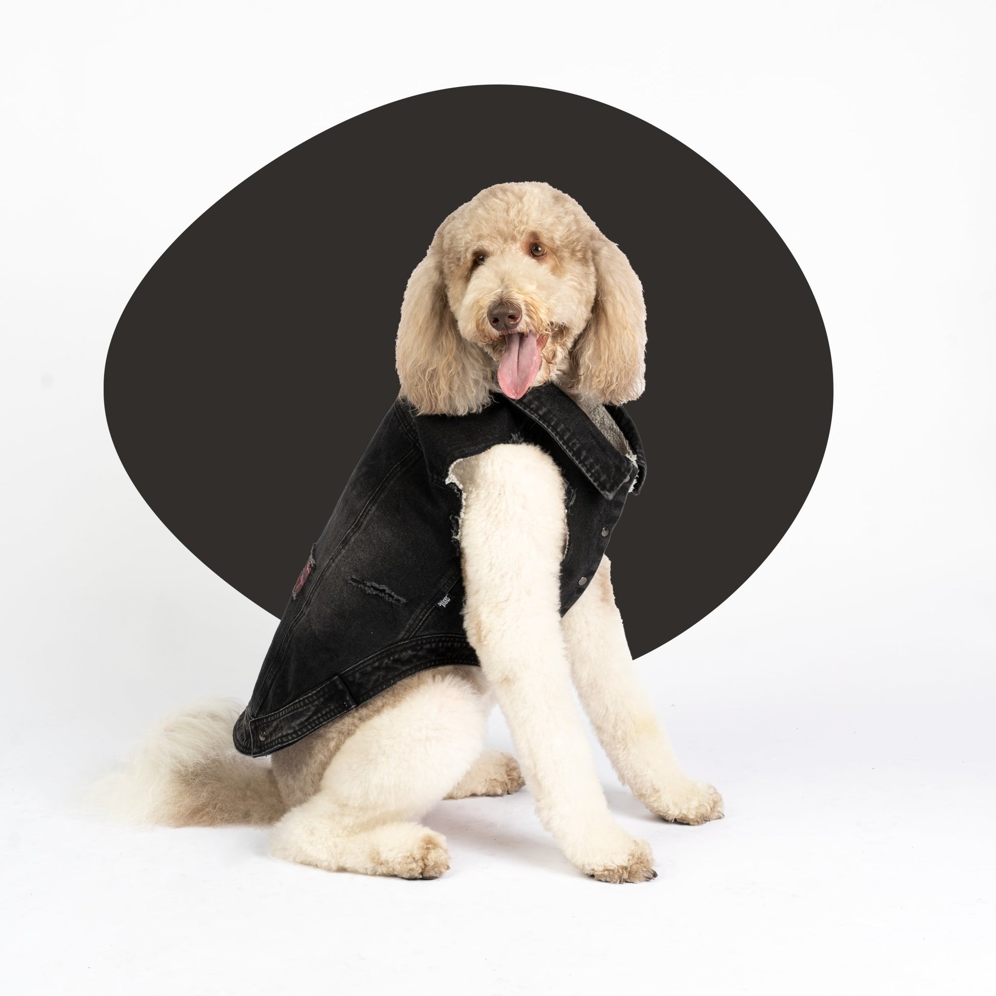 Spencer Dog Jacket  Distressed Denim with Sherpa Lining & Matte Snaps