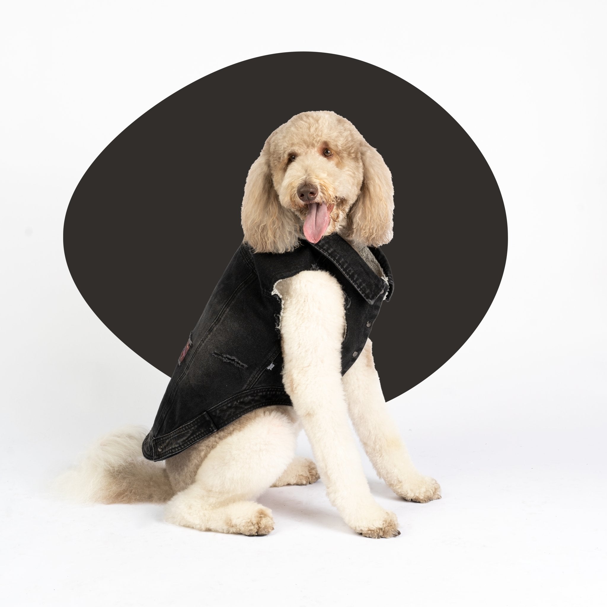 Spencer Dog Jacket  Distressed Denim with Sherpa Lining & Matte Snaps