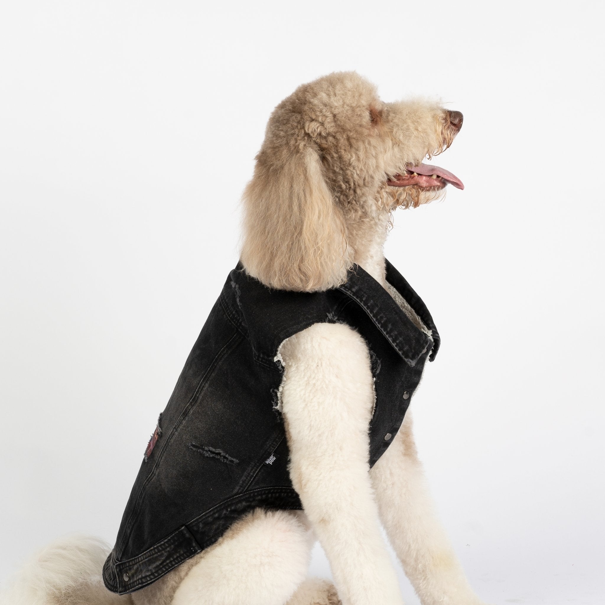 Spencer Dog Jacket  Distressed Denim with Sherpa Lining & Matte Snaps