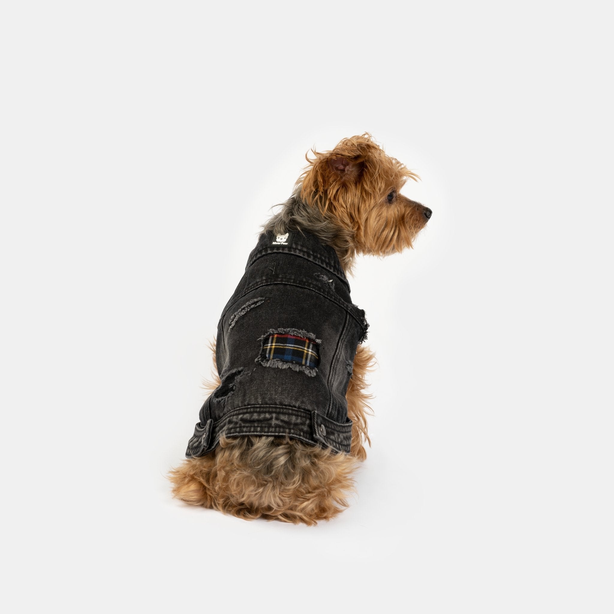 Spencer Dog Jacket  Distressed Denim with Sherpa Lining & Matte Snaps