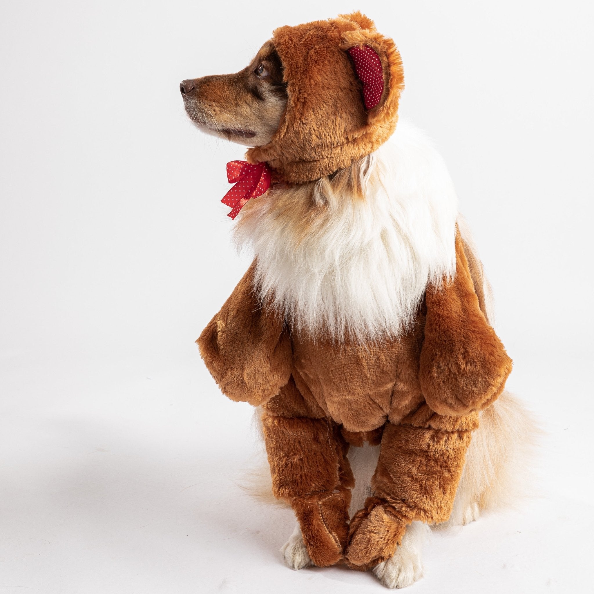 Teddy Bear Dog Costume  Adorable Walking Plush Outfit for Pets