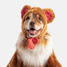 🧸🐶 Teddy Bear Dog Costume – Adorable Walking Plush Outfit for Pets