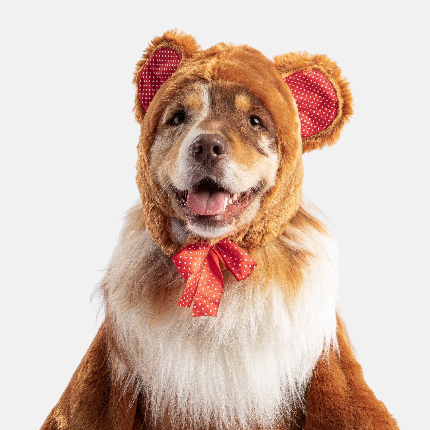🧸🐶 Teddy Bear Dog Costume – Adorable Walking Plush Outfit for