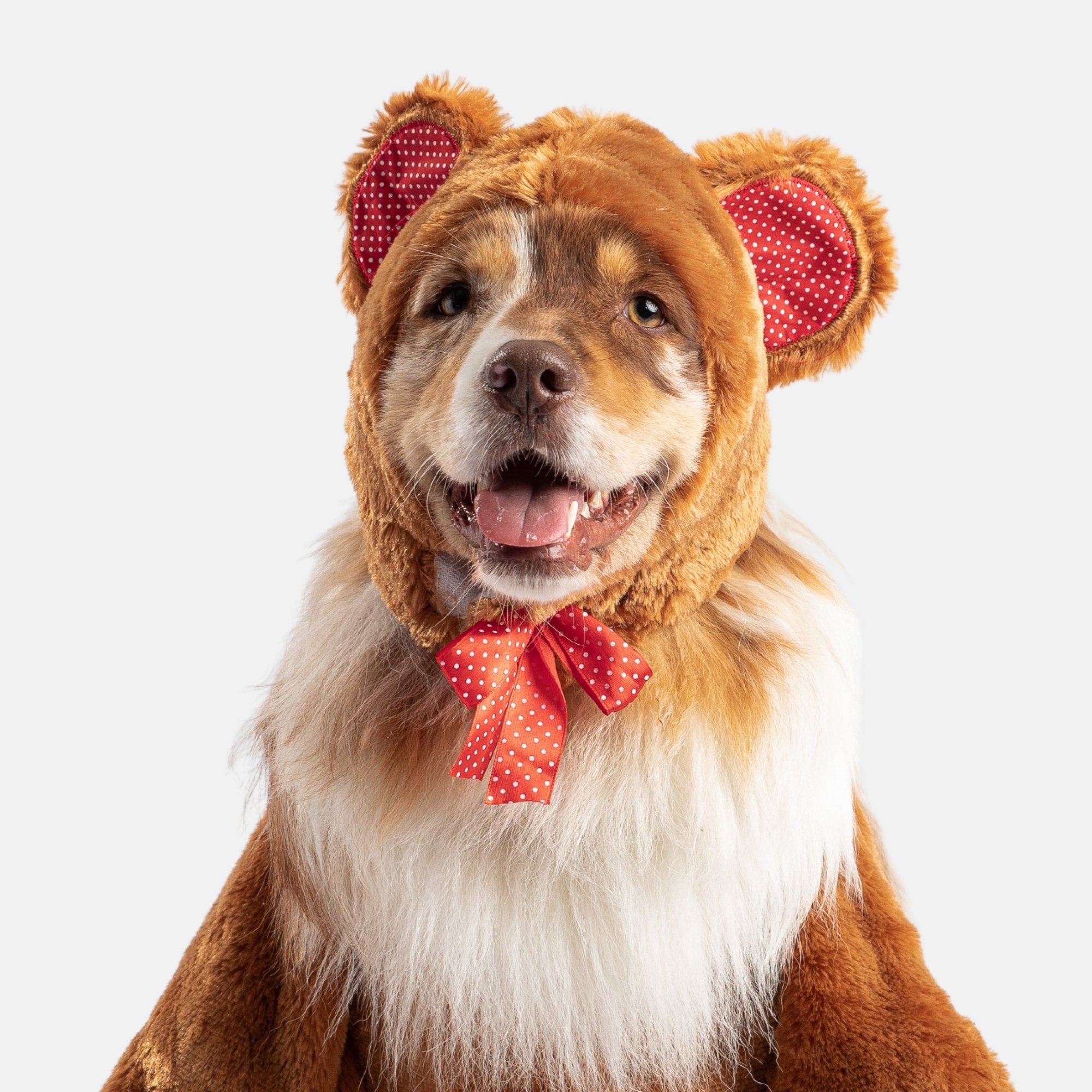 Teddy Bear Dog Costume  Adorable Walking Plush Outfit for Pets