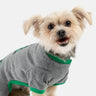Pyjama pour chien d'arbre