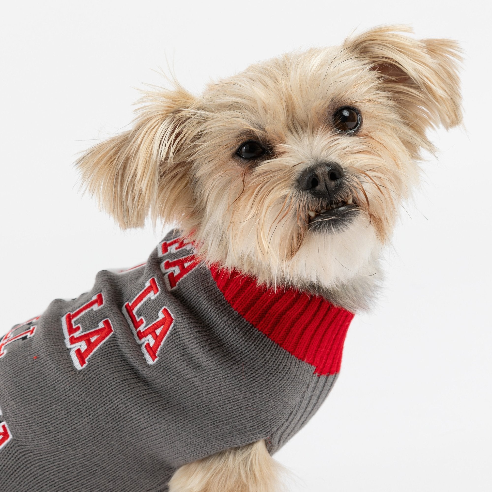 Dog llama outlet sweater