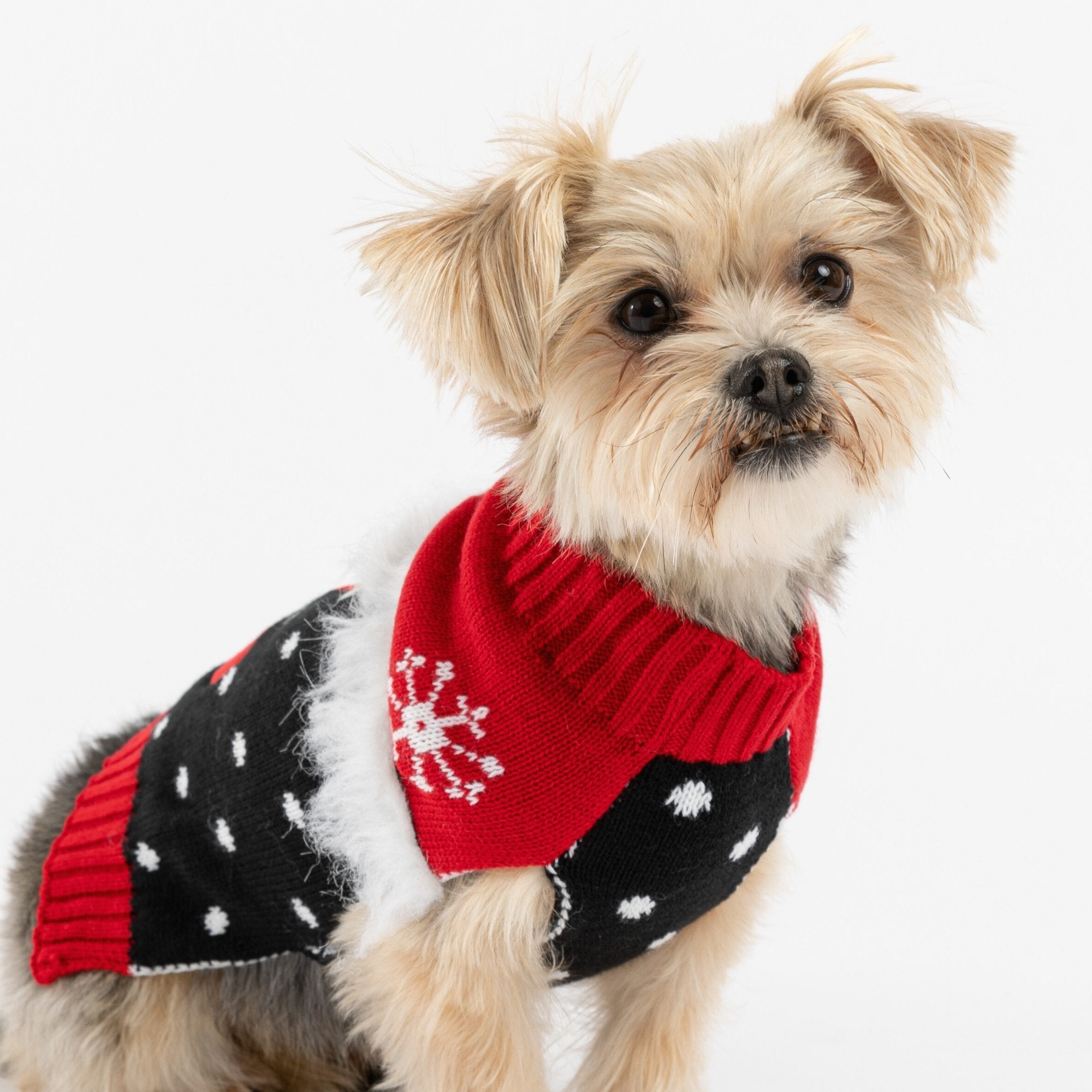 Ugly christmas outlet dog sweaters