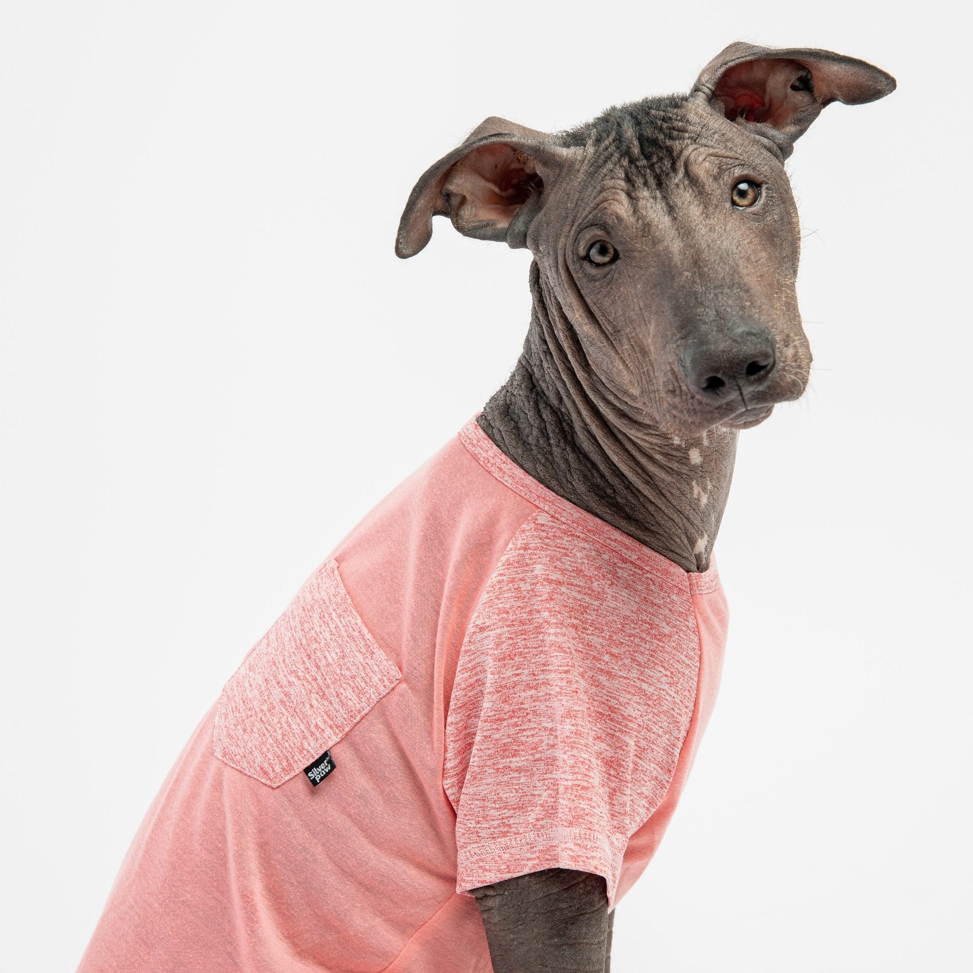 Urban Fit Dog Tee  Pink Stylish Raglan Sleeve T-Shirt for Dogs