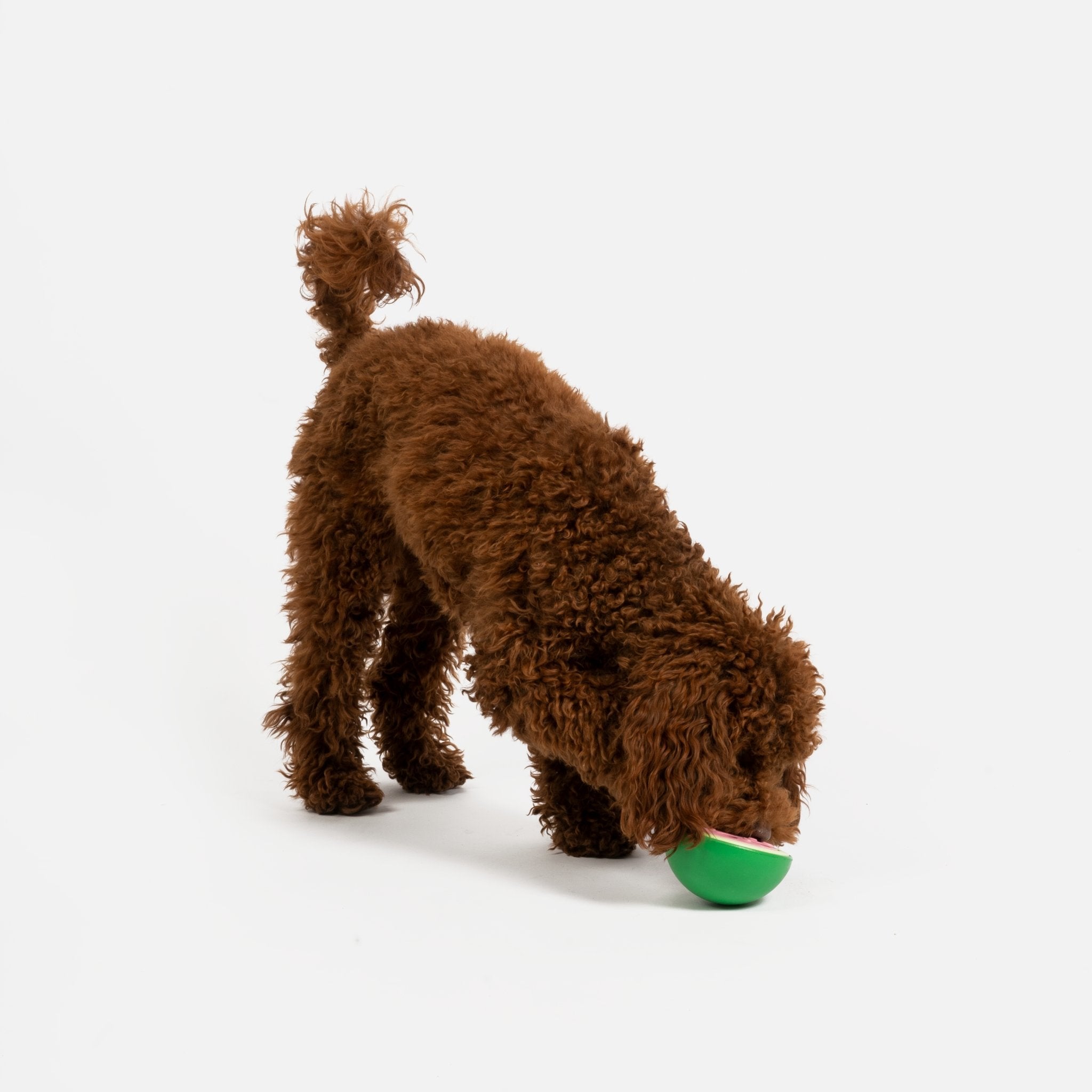 Watermelon Dog Toy | 100% Natural Rubber Chew for Safe & Interactive Play