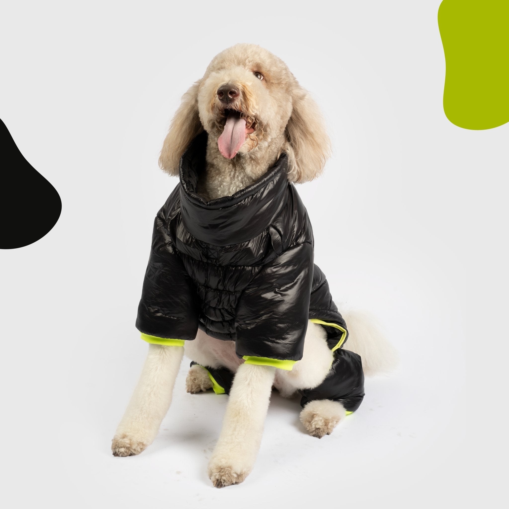 Whistler Full Body Dog Snowsuit - Black | Waterproof Winter Protection with Removable Pants