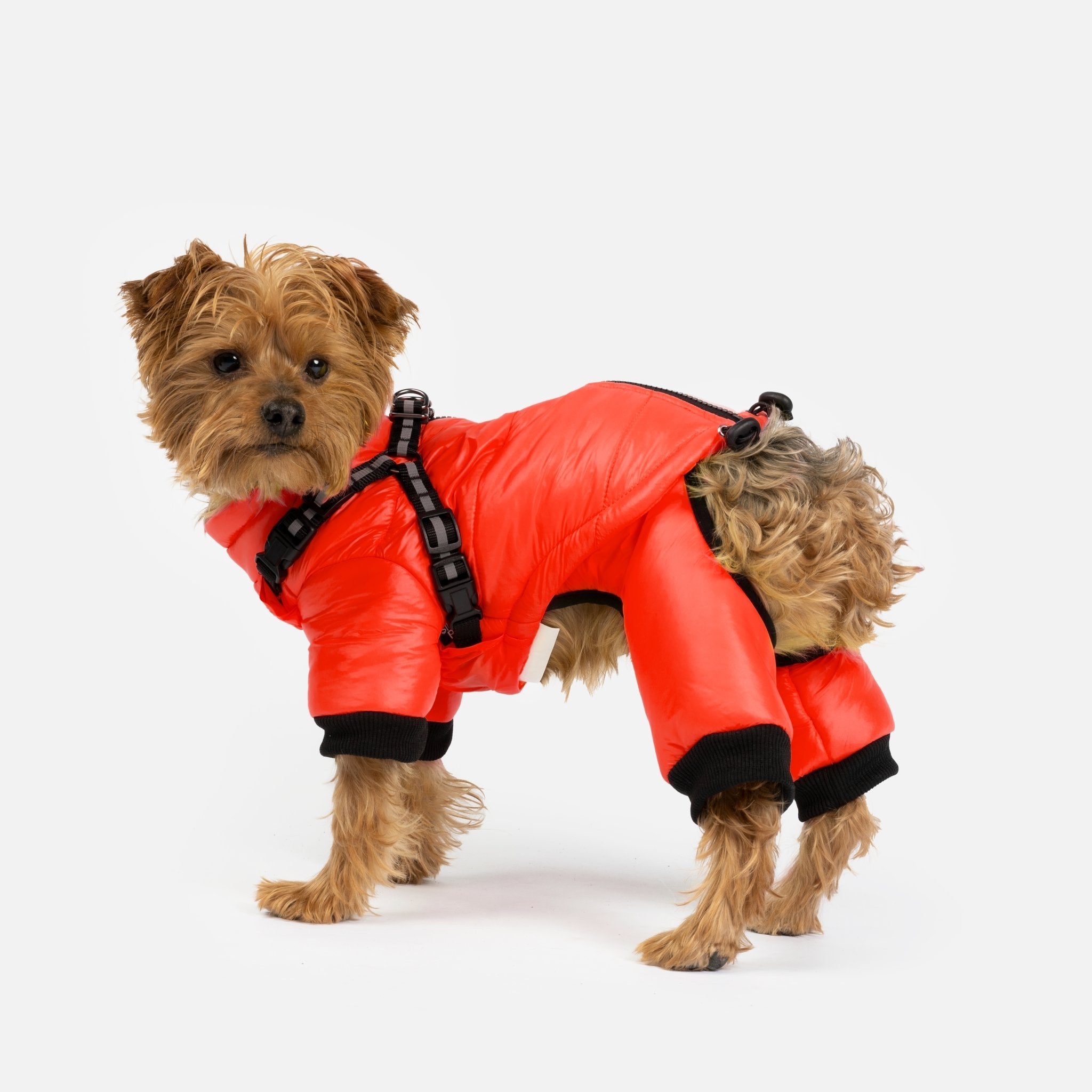 Full body shop dog snowsuit