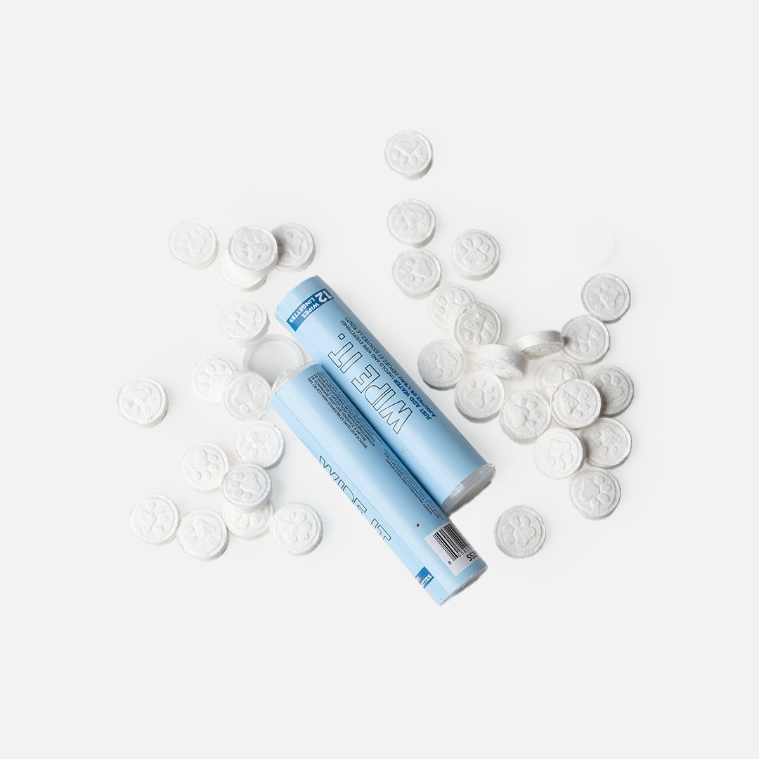 Wipe It - Box with 20 Tubes - Silver Paw